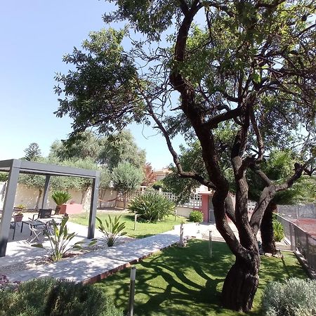 Bed&Breakfast Villa Nora 夸尔图-圣埃莱娜 外观 照片